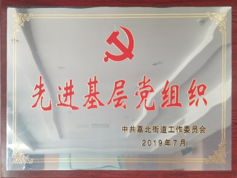 2019年先進基層黨組織
